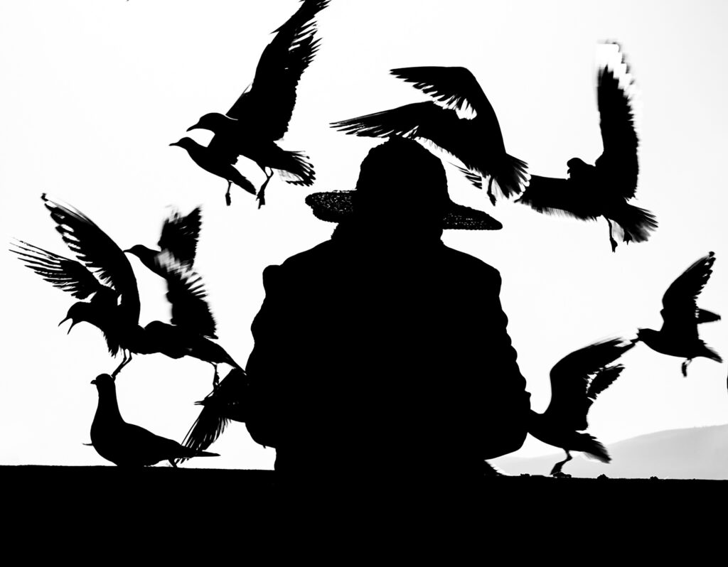 Birdy man