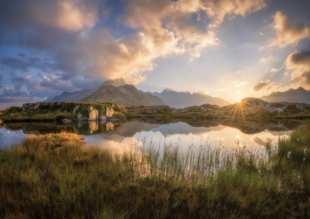 Summer morning