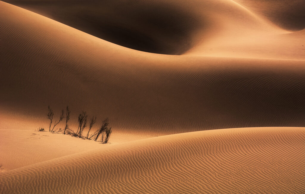 Desert