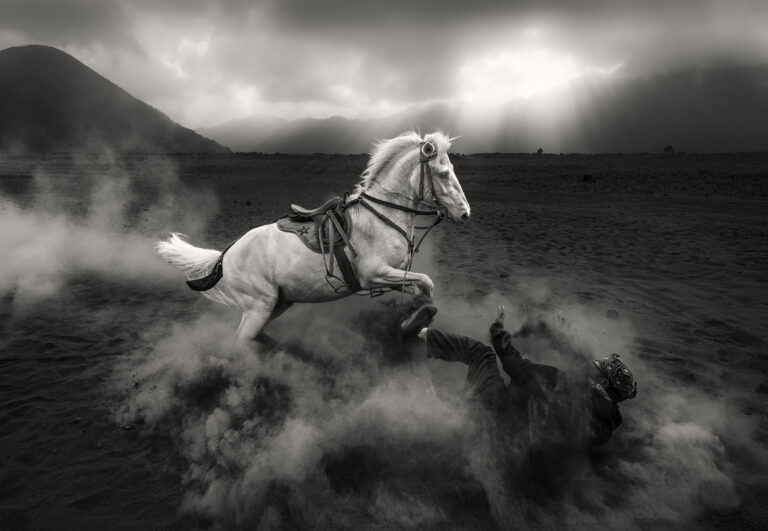 Angry Horse