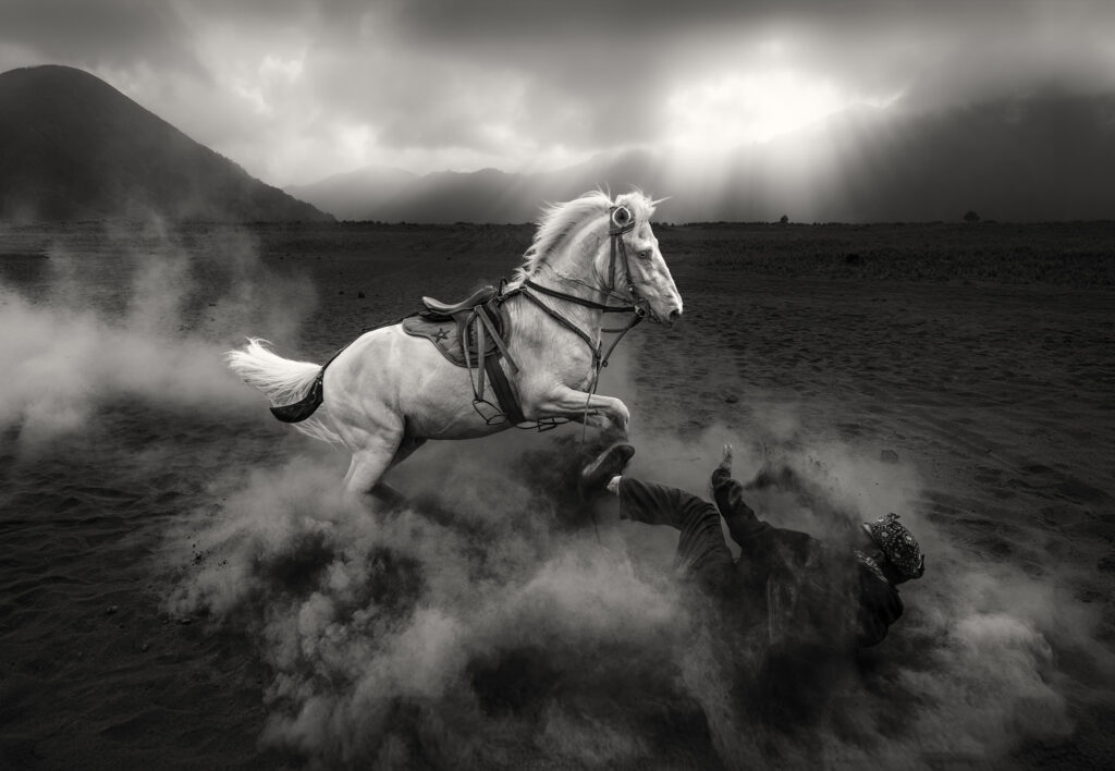 Angry Horse
