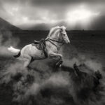 Angry Horse