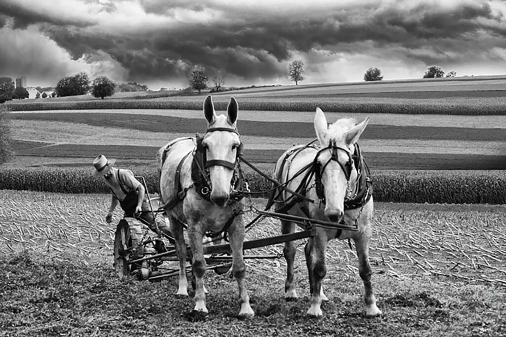 Lancaster County, Pennsylvania - Amish and Mennonite Documentary Project