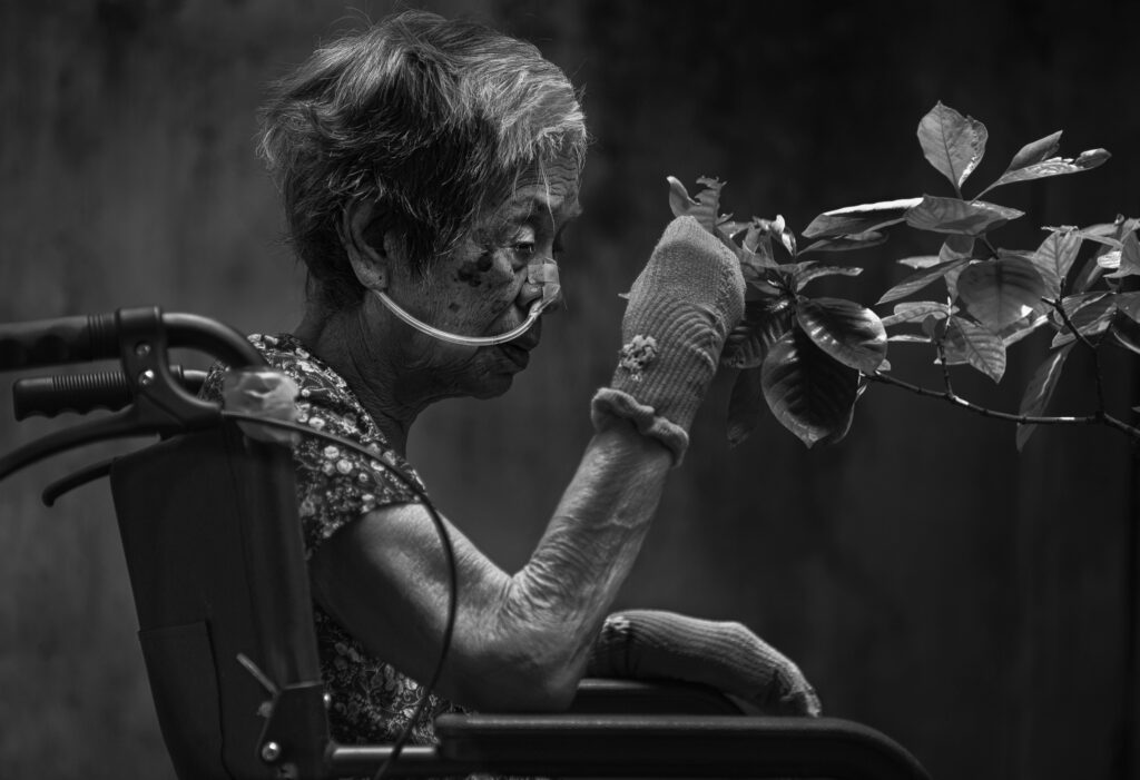 The Beauty of Decay