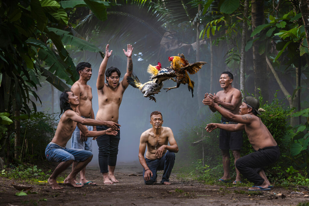 Clash in the Canopy