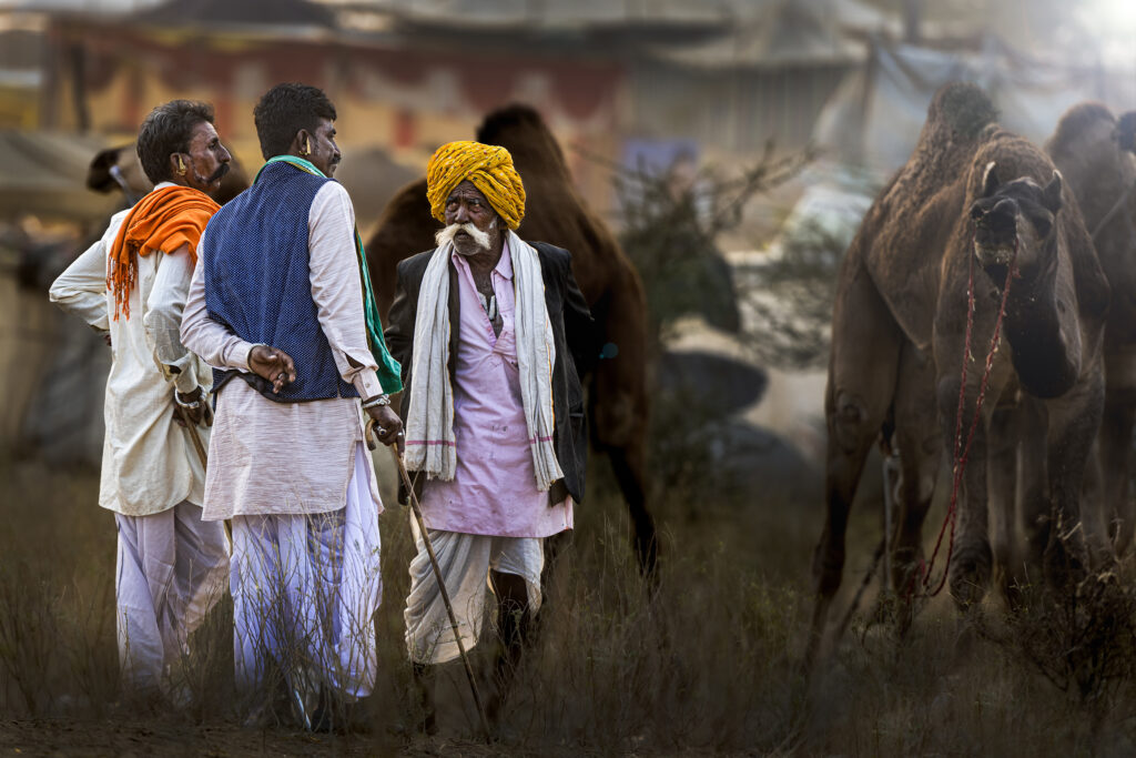 Faces and Traditions of Pushkar