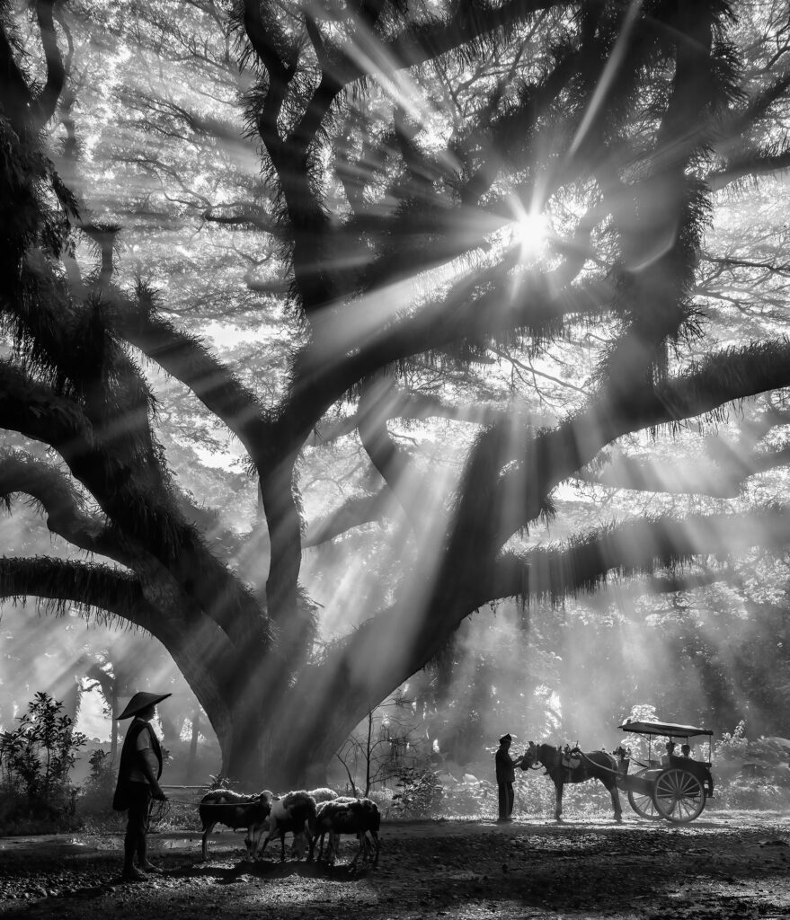 Passage Through the Light