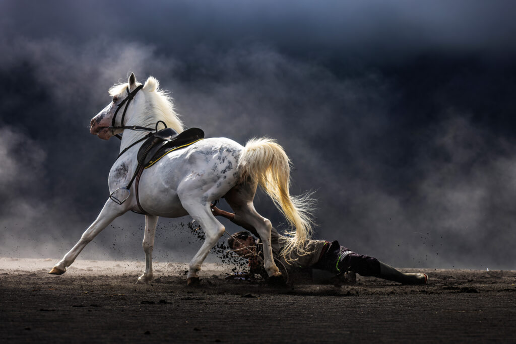 Beneath the White Stallion