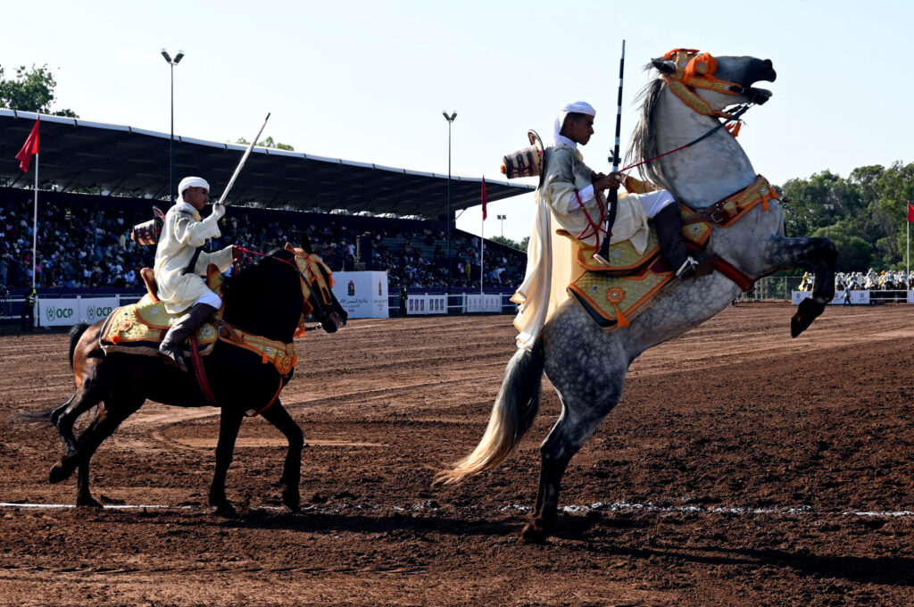 Moroccan Fantasia Tbourida