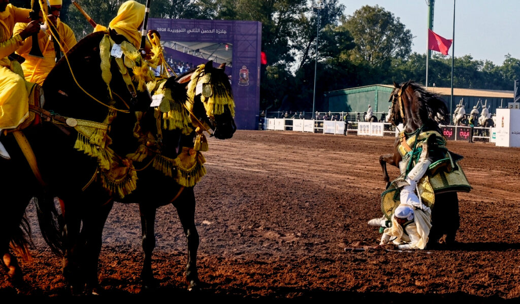 Moroccan Fantasia Tbourida