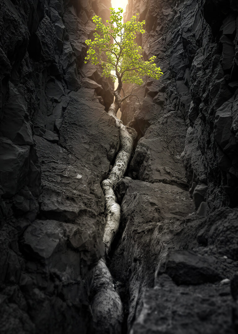 Persistent