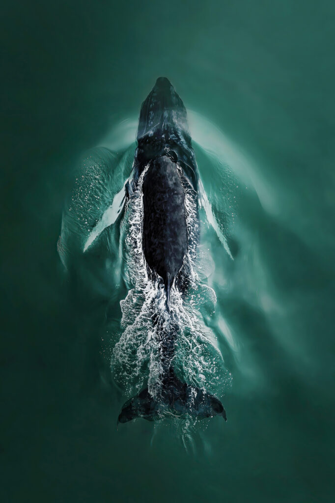 Diving