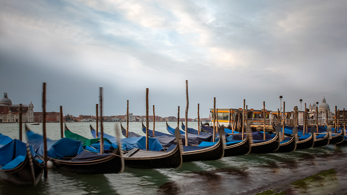 A morning in Venice by Gulay Tansu