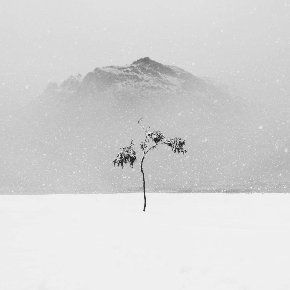 Cold Silence by Mohammad Yousefi-Manesh