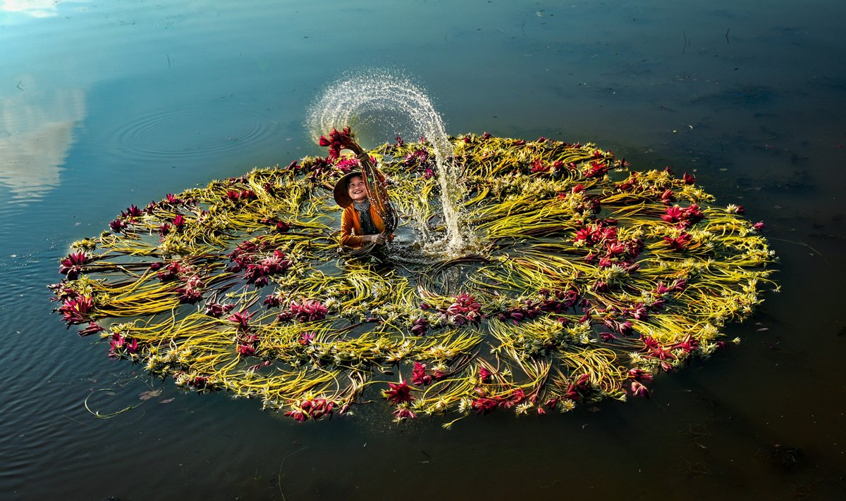 Drying Water Lilies by Ken Ang