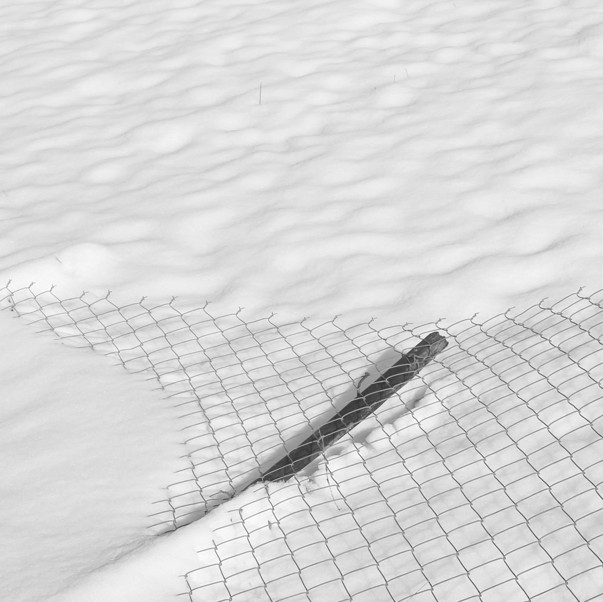 IMG 5308 by Mostafa Nodeh