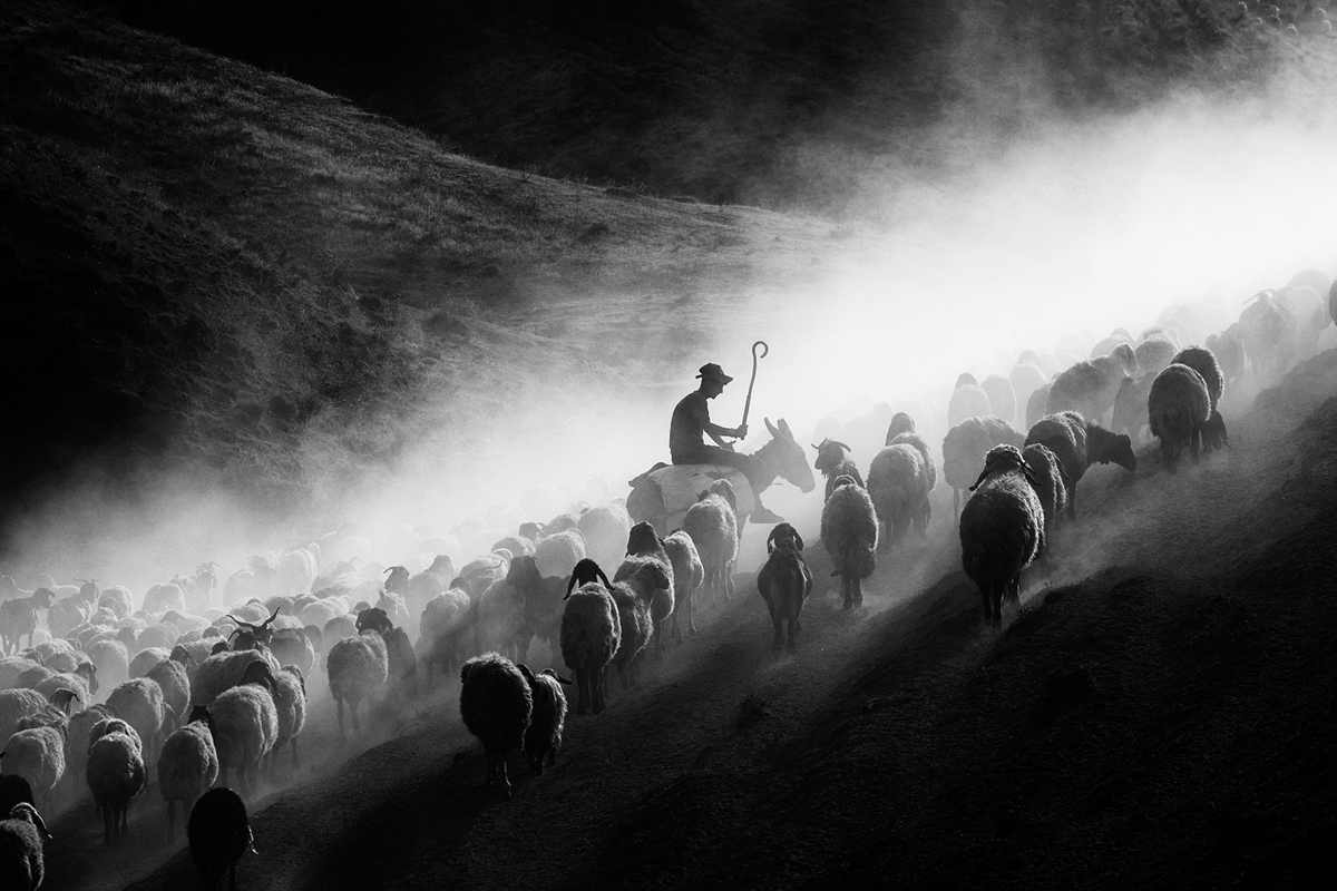 Tatvan 1 by Gulay Tansu