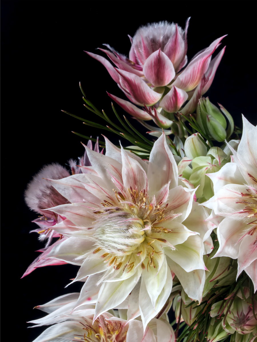 The Bridal Party by Heather Smith