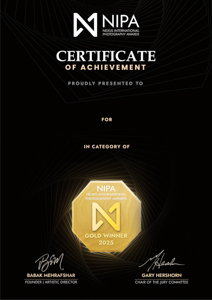 NIPA certificate preview