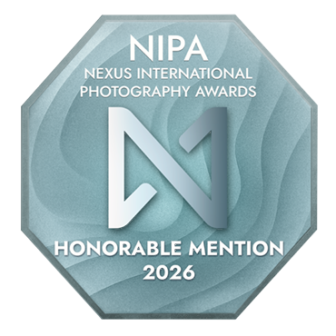 NIPA Honorable Mention badge