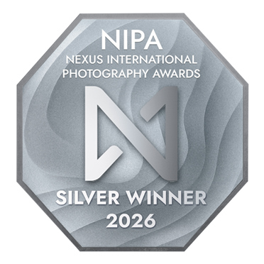 NIPA Silver Winner badge