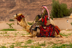 Al-Hajjanah: Guardians of the Desert