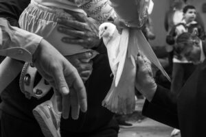 Madonna delle Galline: A Community Festival in Pagani