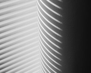 Interference Fields
