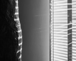 Interference Fields