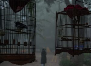 Within the Same Walls