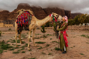 Al-Hajjanah: Guardians of the Desert