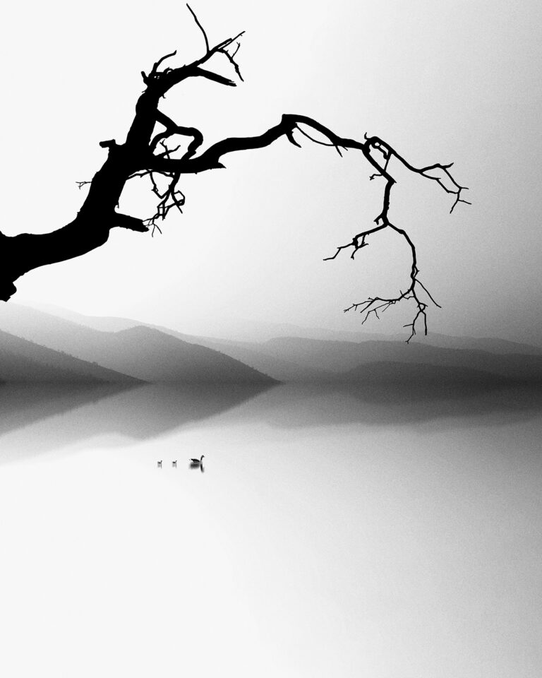 Aref Tahmasebi