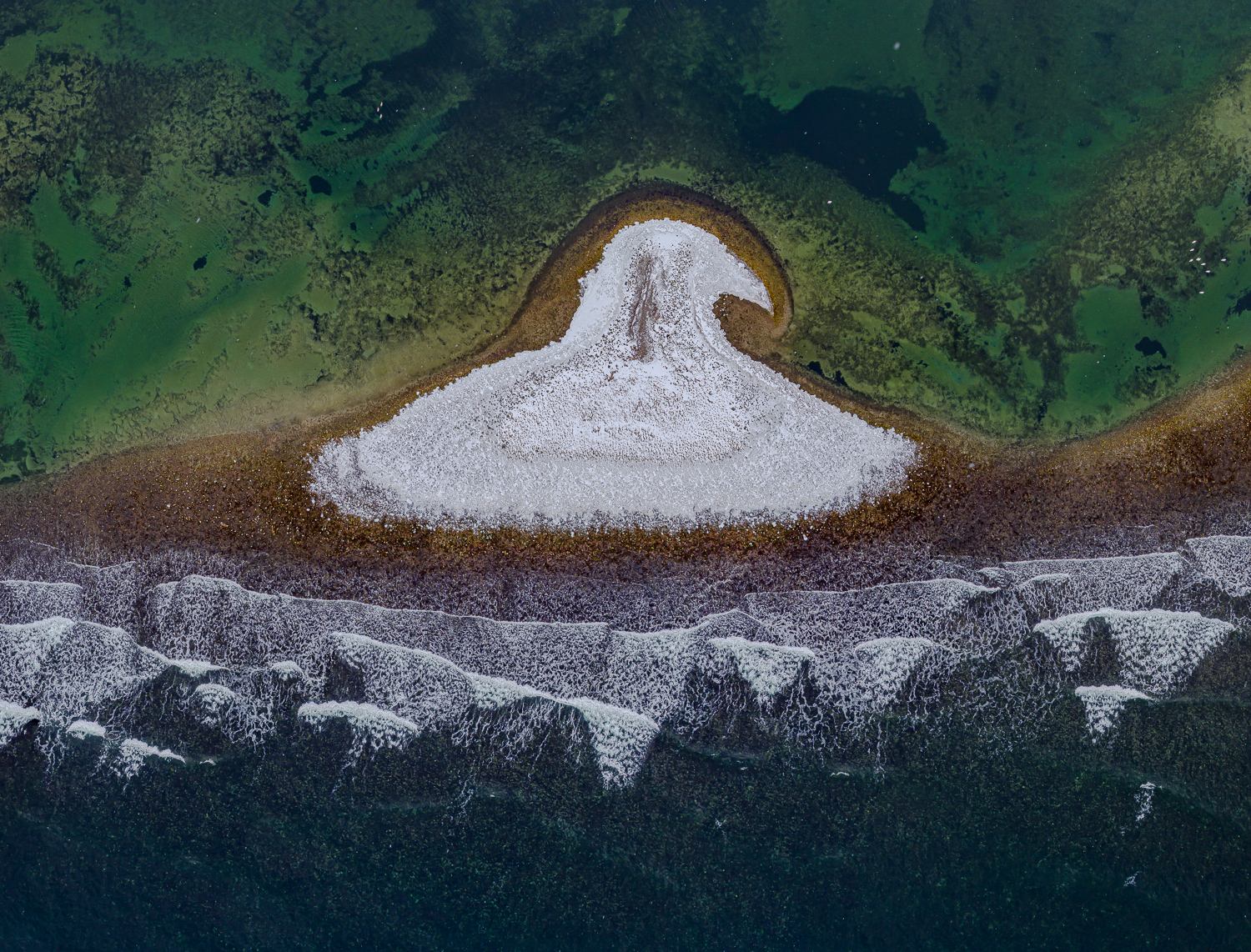 Bird’s eye view by Arne Bivrin