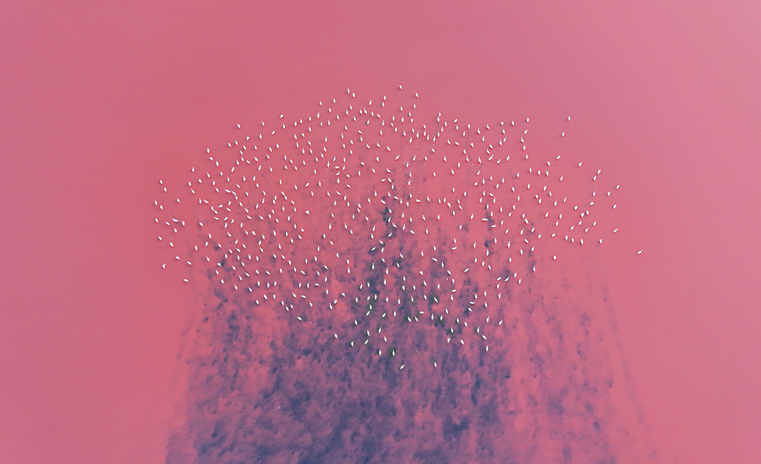 Nature painting by Abdul Baset mahmoodi