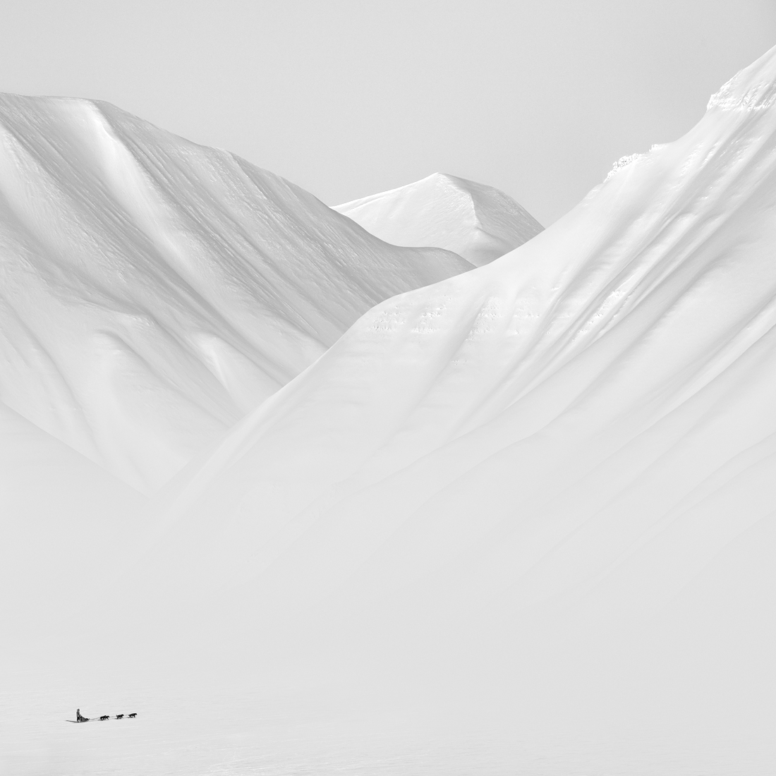 Arctic Silence 5 by Patrick Ems