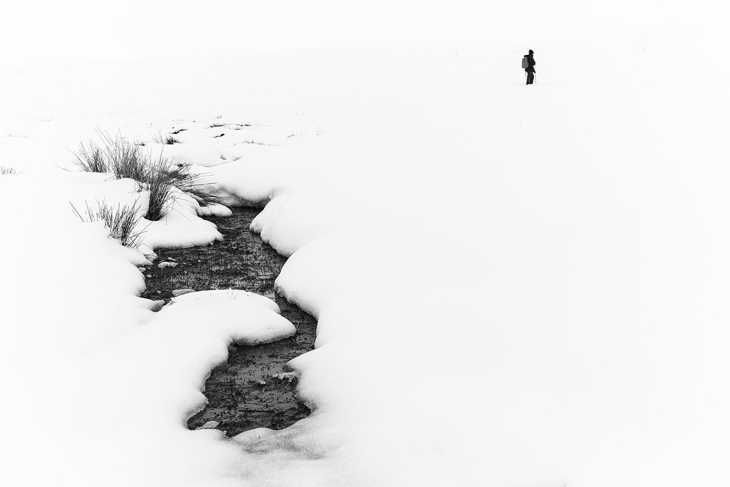 Alone by mahshad sadat razavi