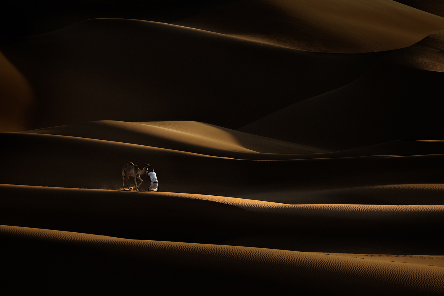 Whispers of the Dunes by MOHAMED NOUFAL