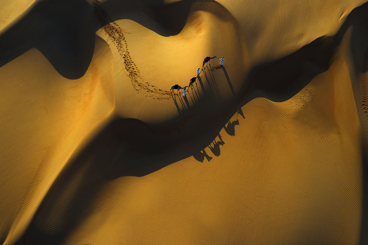 Golden sands by MAHMOOD AL JABRI