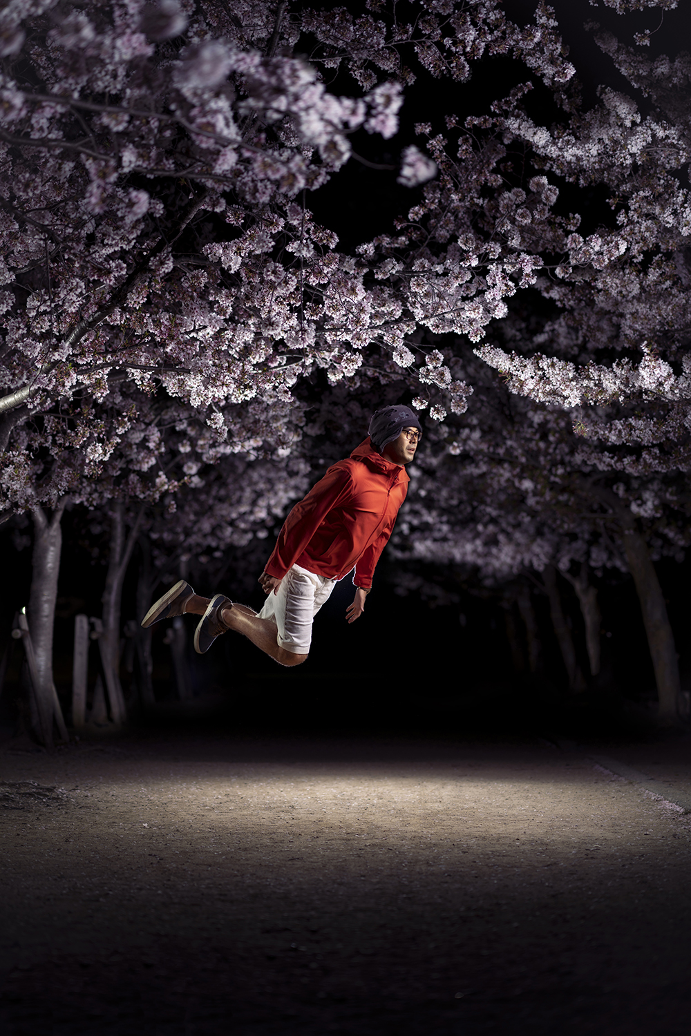 Fleeting Light, Floating Life by Tomohiko Funai