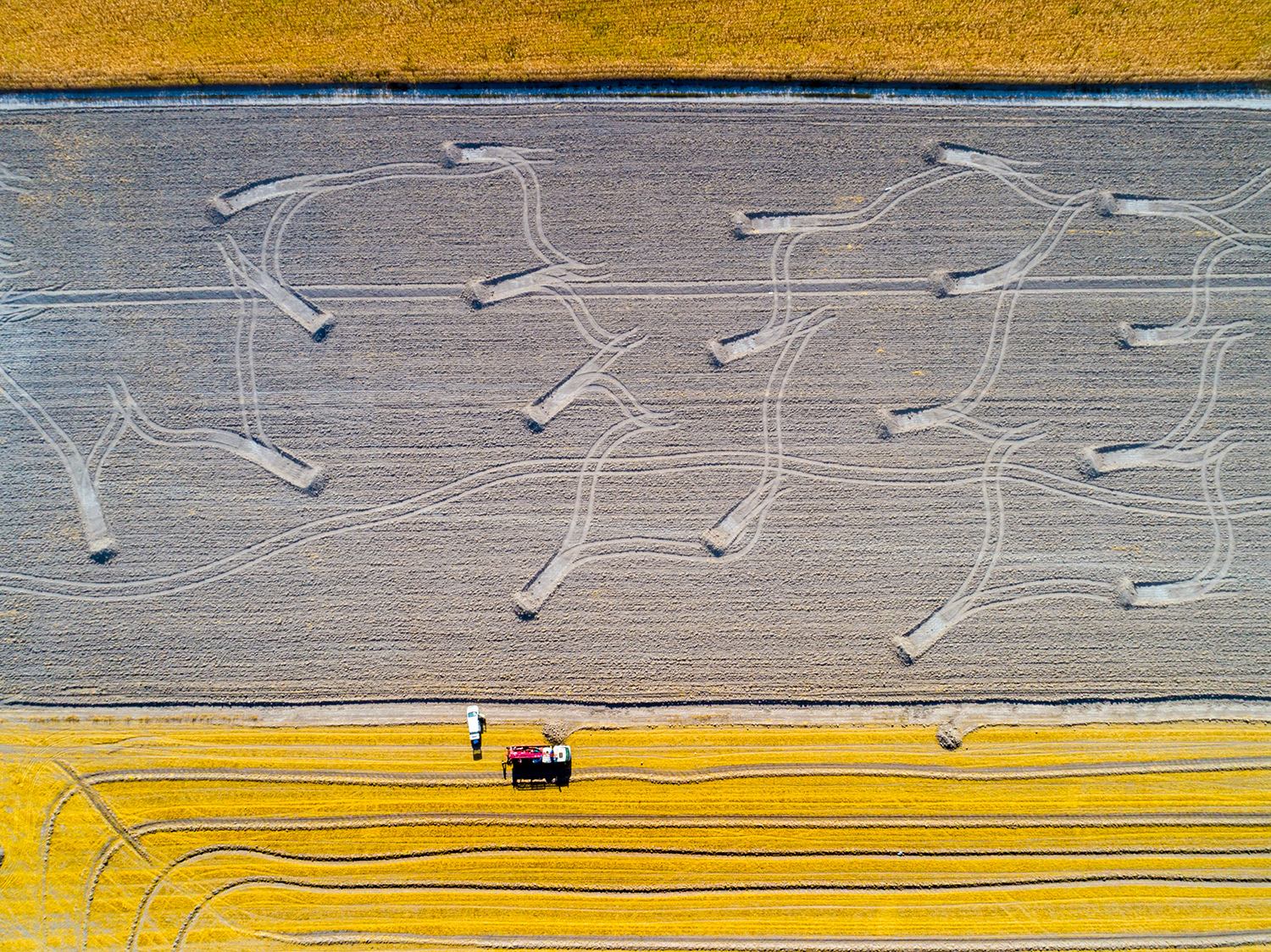 Farmland by Mustafa Binol