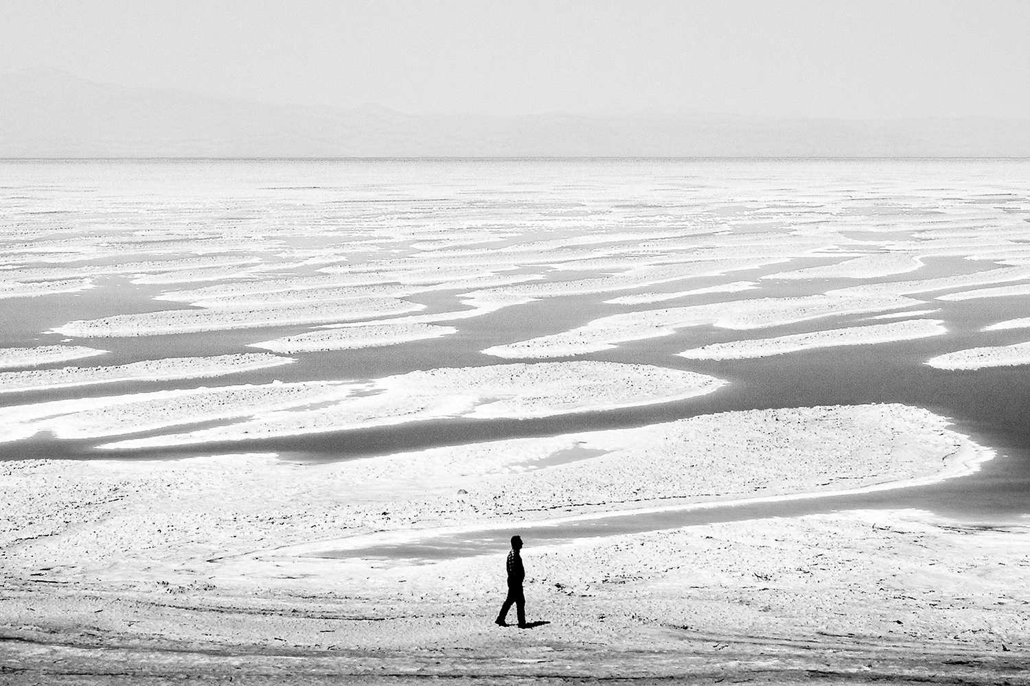 From Life to Memory by Mardin Ahmadi