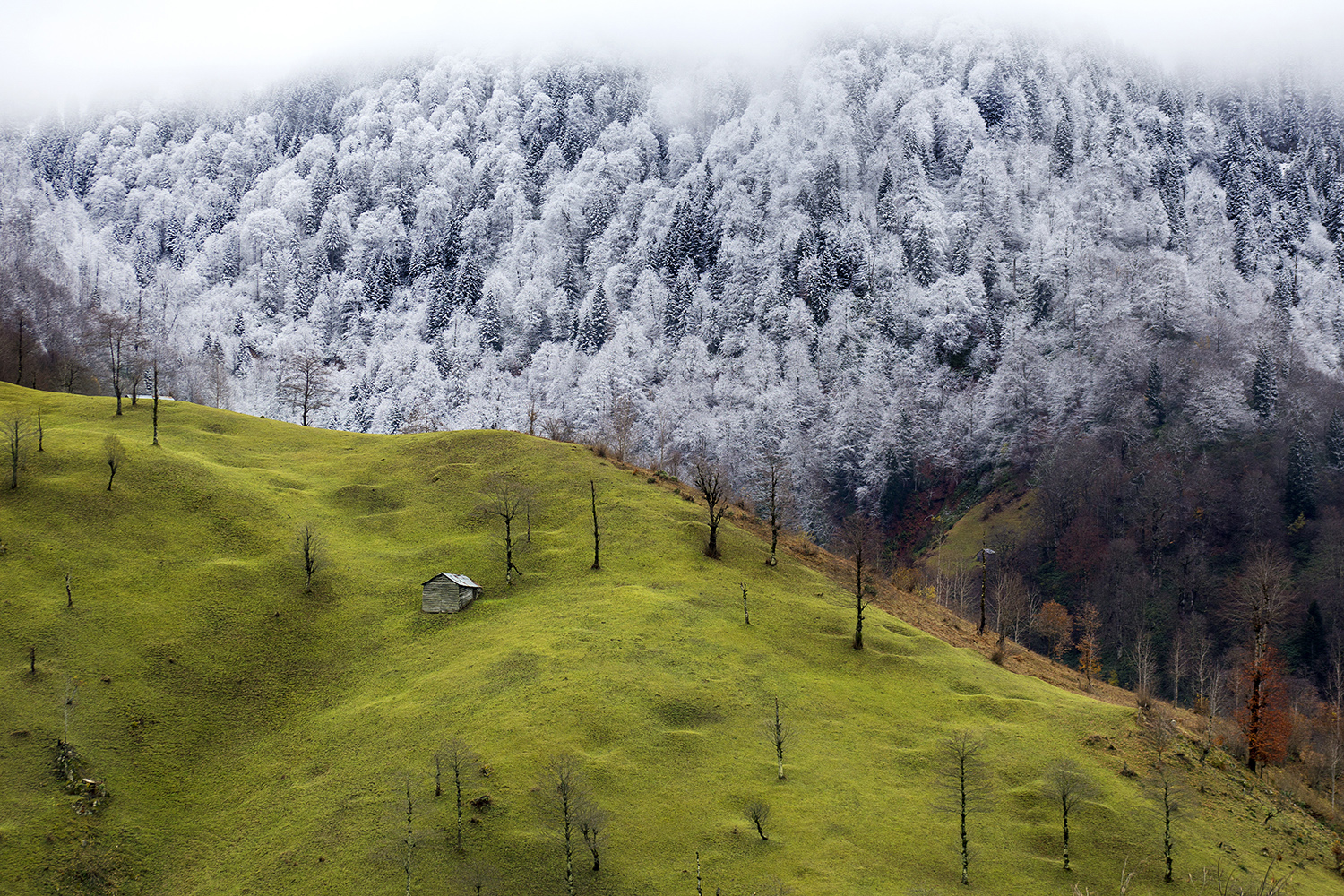 Mevsim_gecisi by SALIH KUS