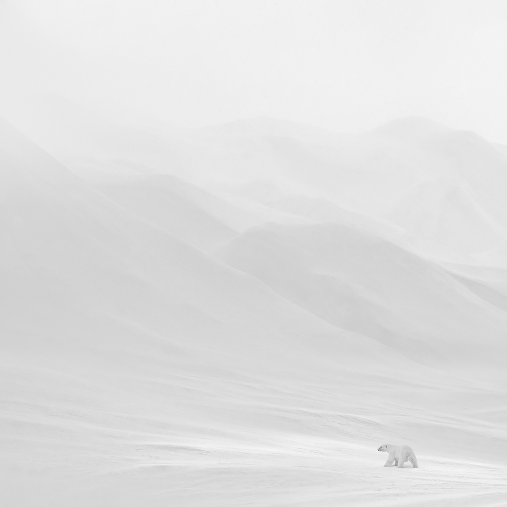 Arctic Silence 24 by Patrick Ems