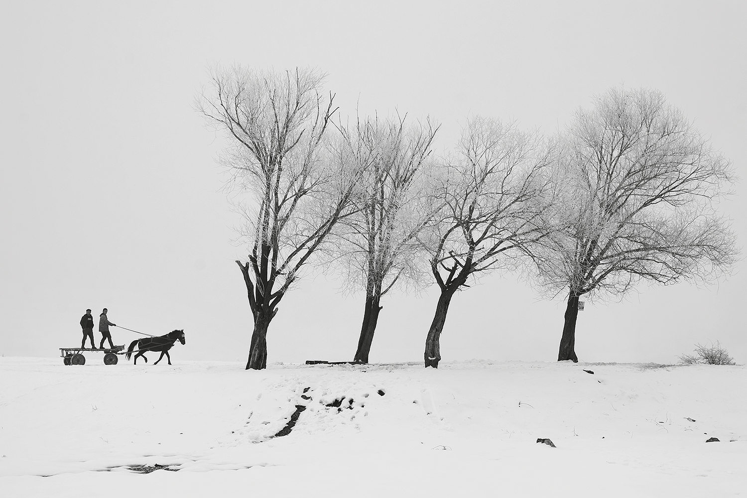 Riders by Serhat Karasungur