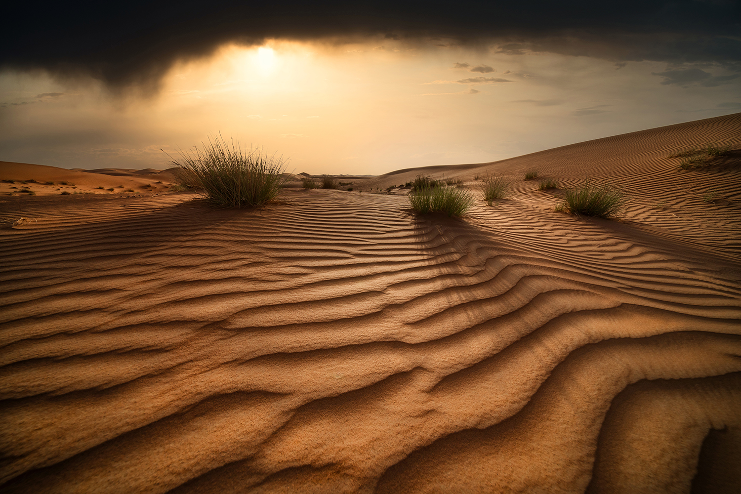 The Silent Guardians by Vahid Hassan Abbasi