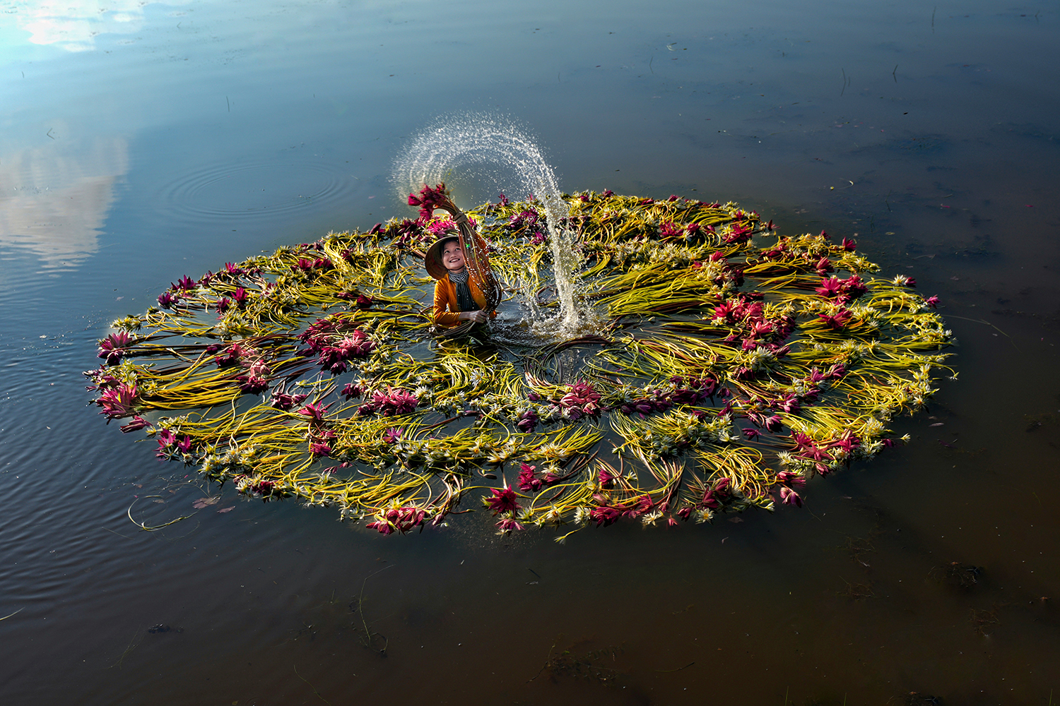 Washing Water Lilies by Ken Ang