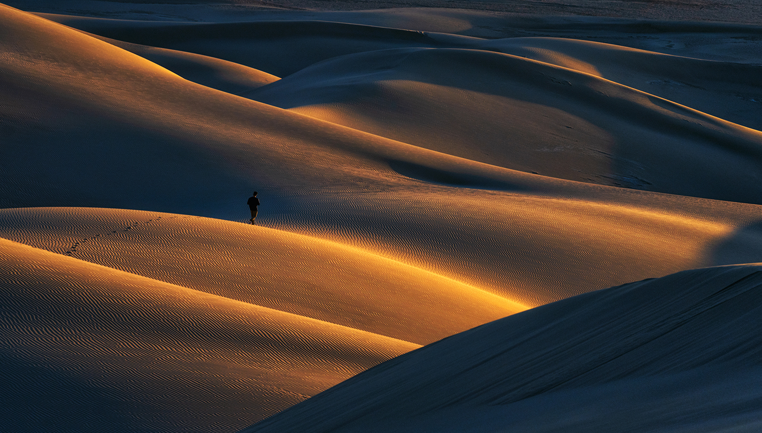 Sunset on desert by Zeinab Mokhtari