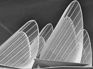 Zayed National Museum