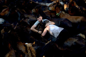 Rapa das Bestas