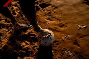 Football in the Shadows of Dakar